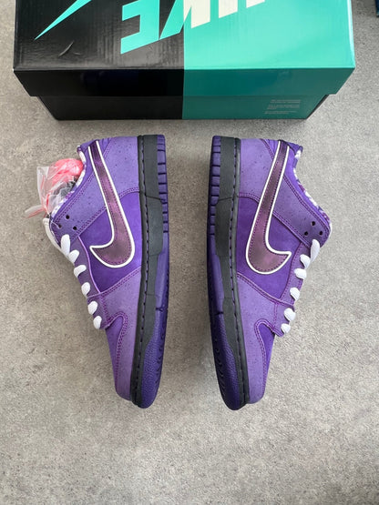 Nike - Dunk low SB Purple Lobster (Special Box) - Heat Providers