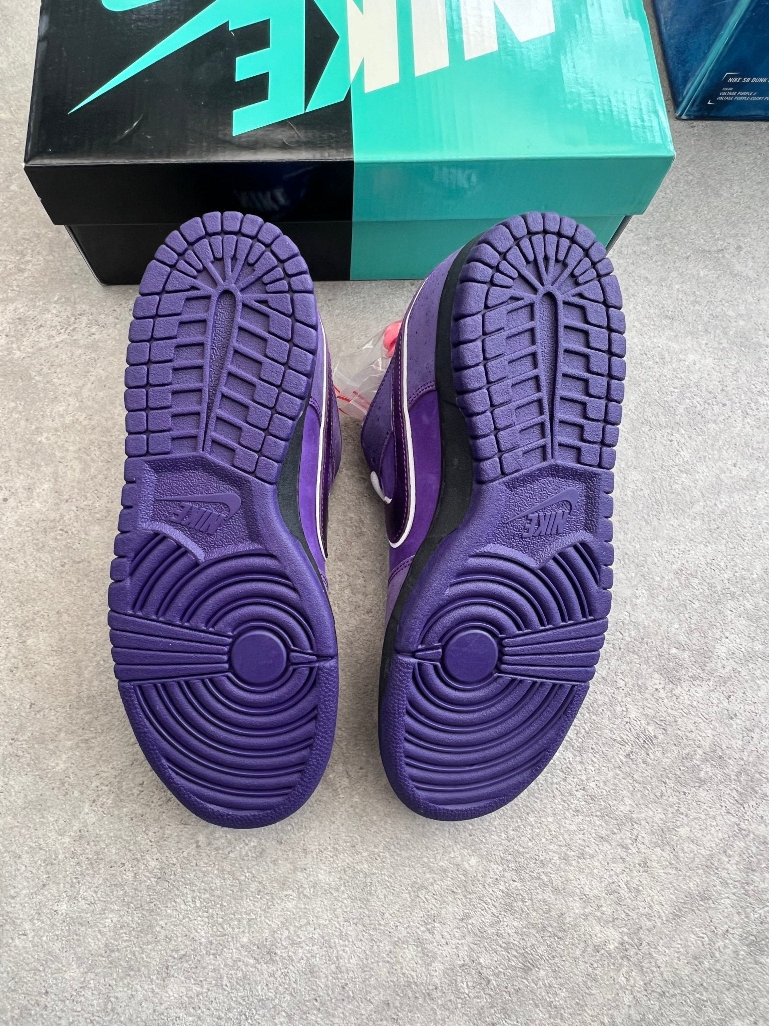 Nike - Dunk low SB Purple Lobster (Special Box) - Heat Providers